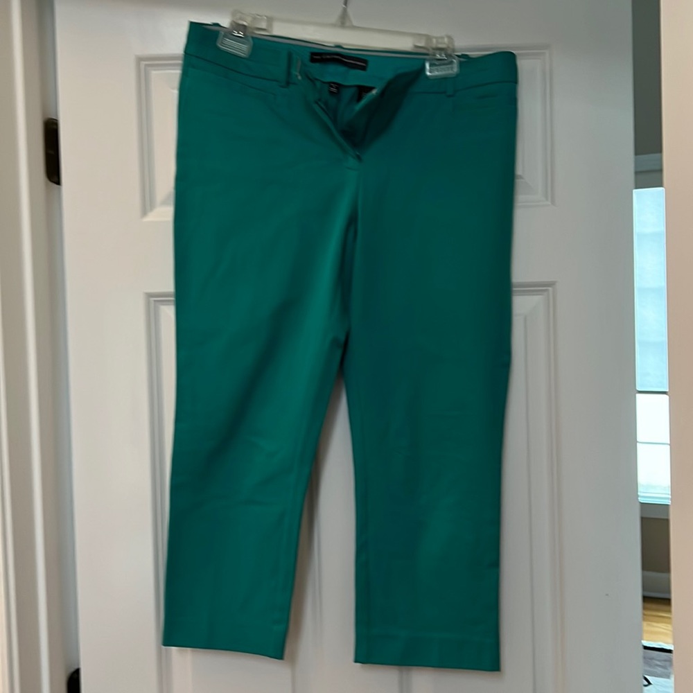 The Limited Ankle Pants